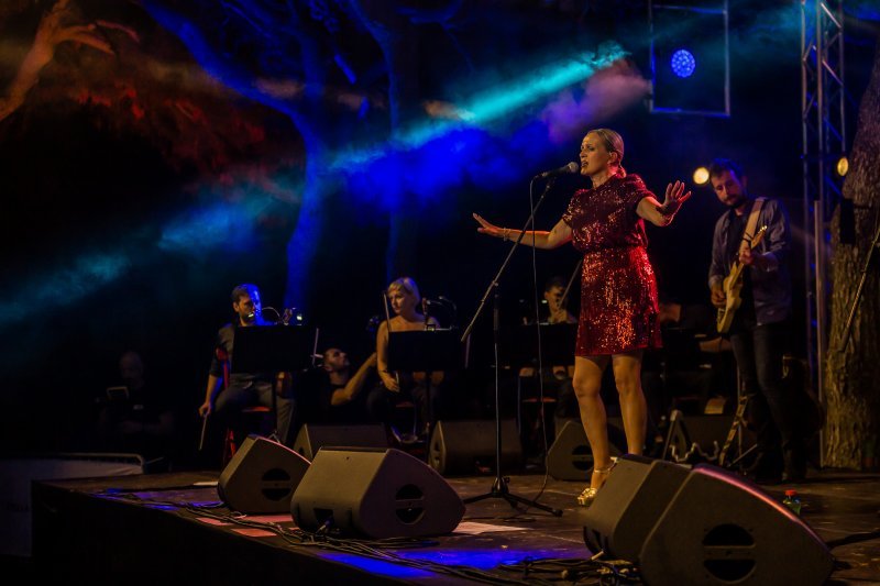 Vannin koncert - San Sustipanske Noći 2024