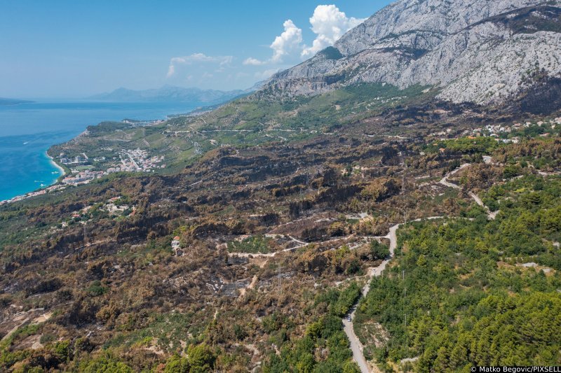 Biokovo nakon požara