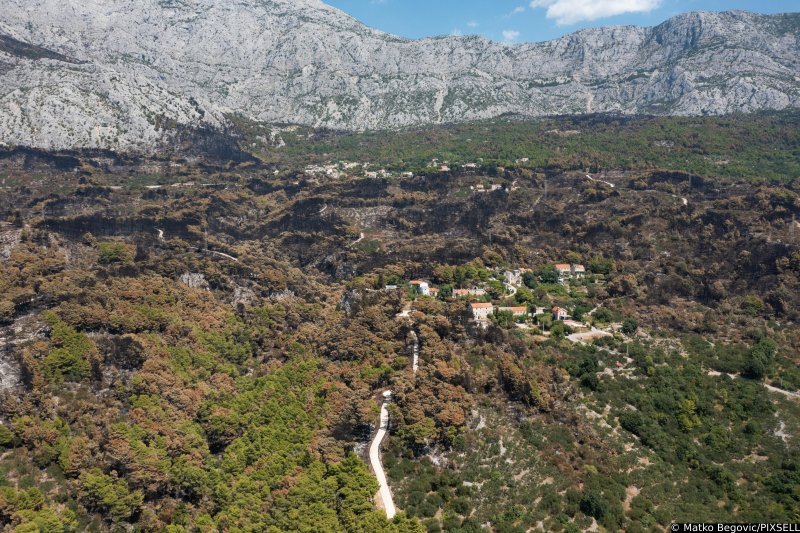 Biokovo nakon požara
