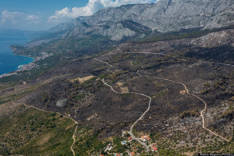 Biokovo nakon požara