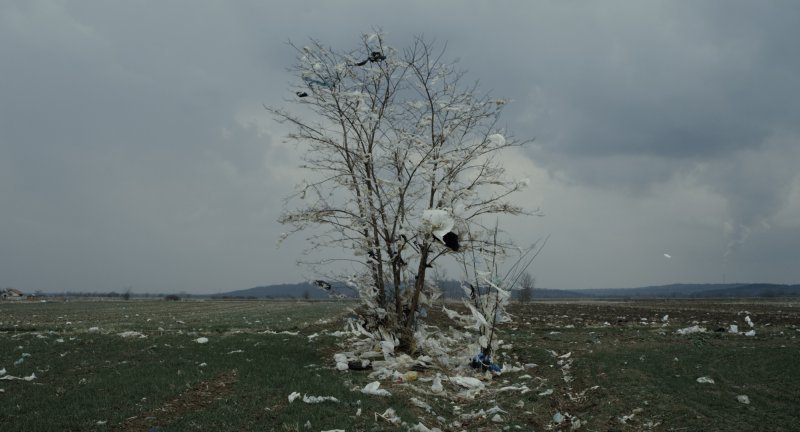 'Dubina dva' (Ognjen Glavonić, Srbija/Francuska) - Veliki pečat RK, Mali pečat za autora do 35