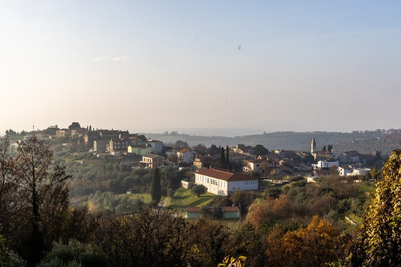 U Momjanu nedaleko Buja bračni par Kekin posjeduje kuću