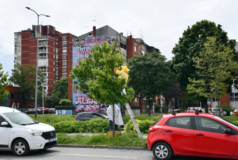 Slavonski Brod: Intervencija uklanjanja roja pčela sa stabla uz šetnicu u središtu grada