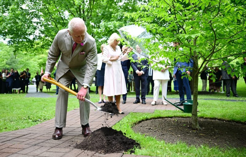 Kralj Charles III.