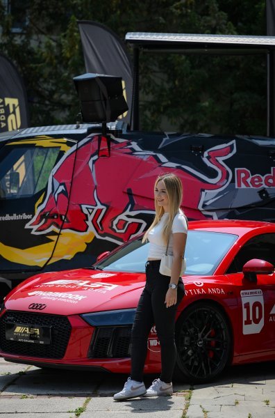 Izložba automobila