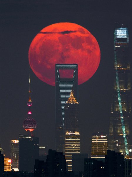 Kategorija Ljudi i svemir: Blood Moon Rising Behind the City Skyscrapers
