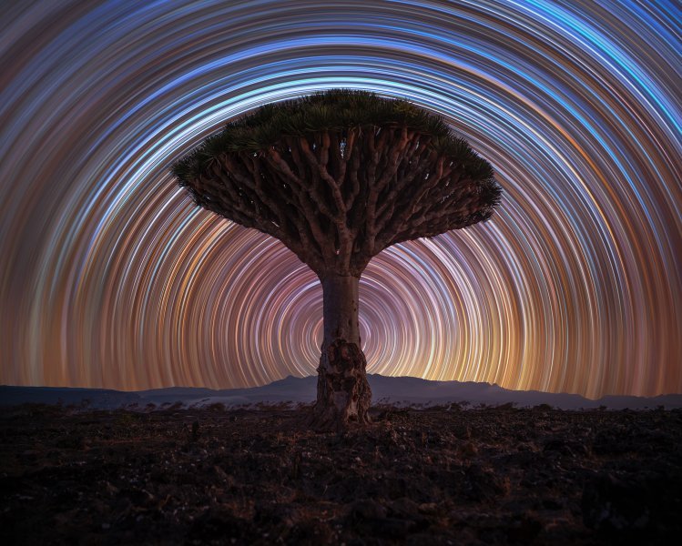 Kategorija Nebeski pejzaži: Dragon Tree Trails