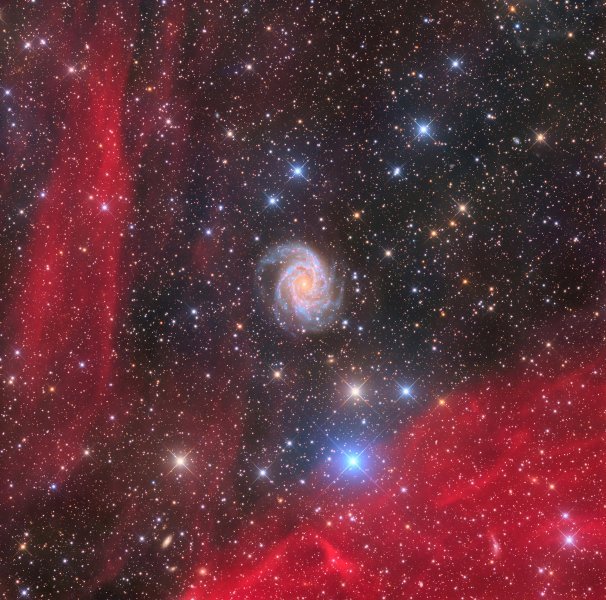 Kategorija Galaksije: NGC 2997 The Antlia Cabbage Galaxy