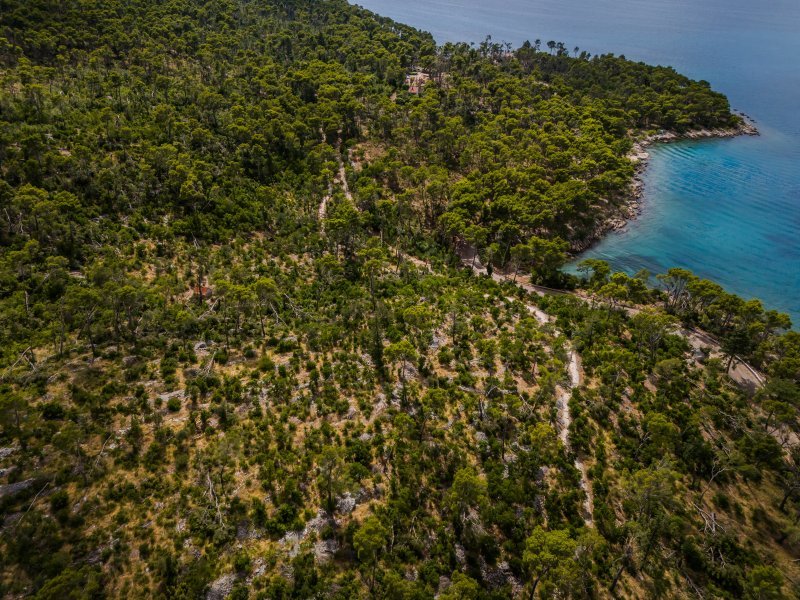 Uvala Bene na Marjanu nakon orkanskog nevremena