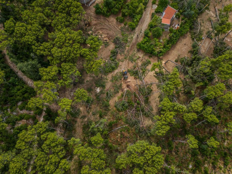 Uvala Bene na Marjanu nakon orkanskog nevremena