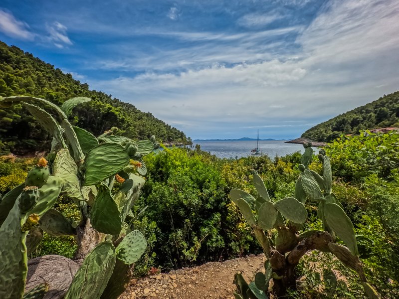 Otok Korčula, uvala Pupnatska Luka