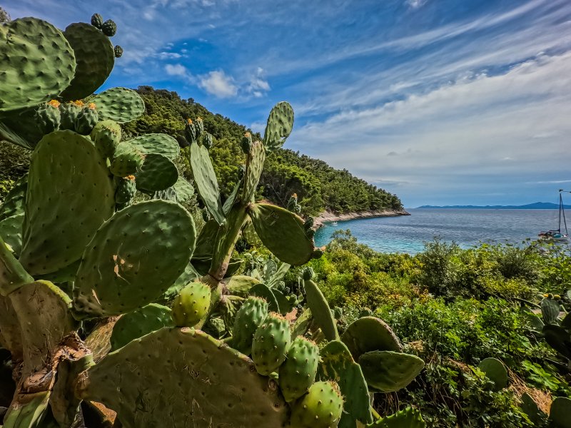 Otok Korčula, uvala Pupnatska Luka