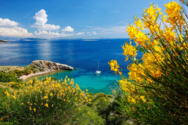Otok Krk