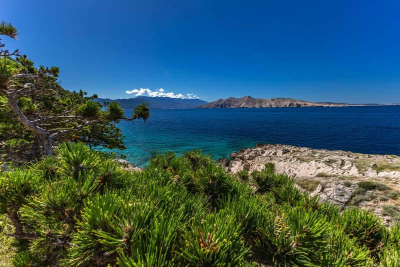 Otok Krk