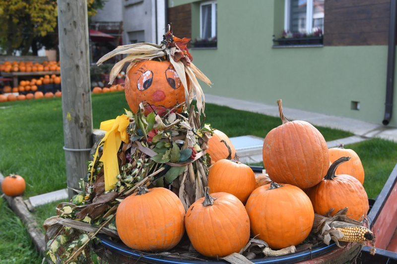 Selo jagoda postalo selo bundeva
