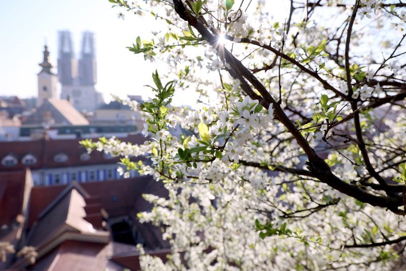 Zagreb: Proljeće stiglo na Gornji grad