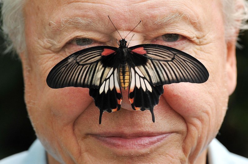 David Attenborough
