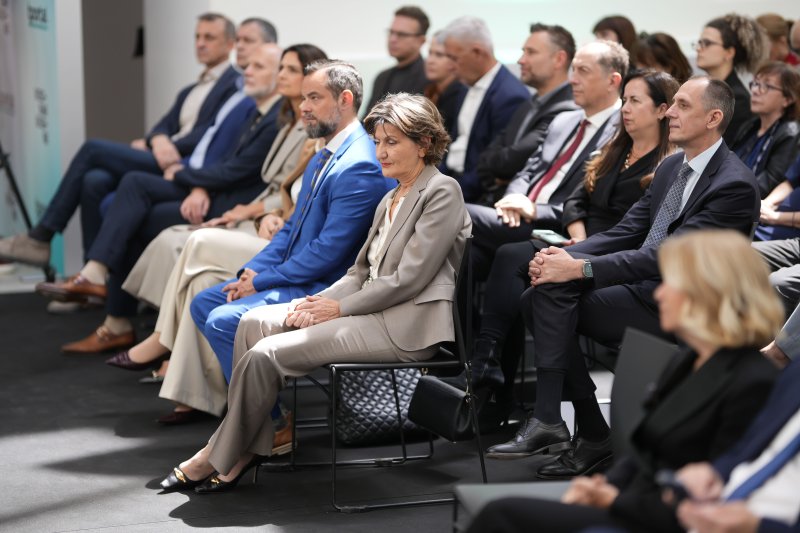 Vizionar godine