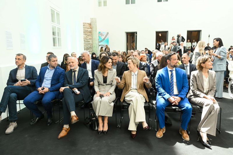 Vizionar godine