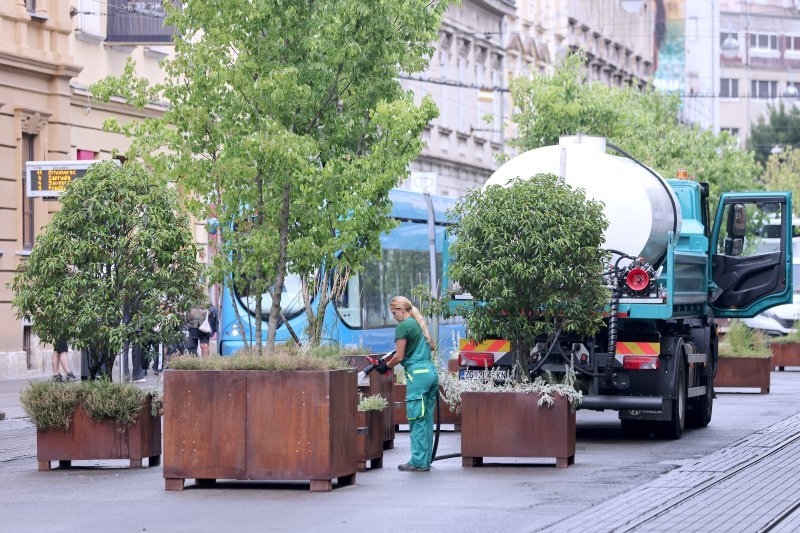 Zagreb: Radnici Zrinjevca svakodnevno zalijevaju biljke da prežive vrućine