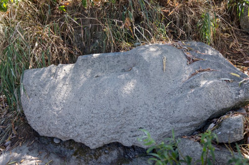 Zagreb: Ispod Hendrixova mosta izronila kamena skulptura 'Vodan'