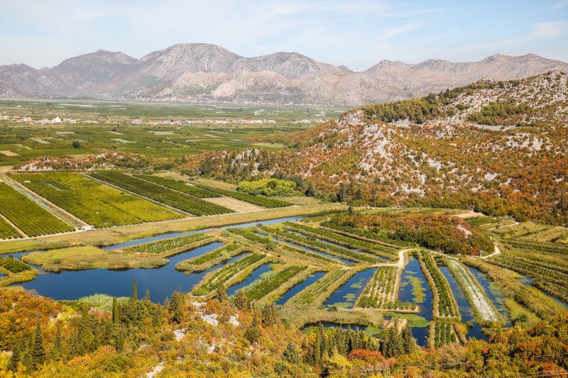 Opuzen: Pogled na slikovite plantaže mandarina