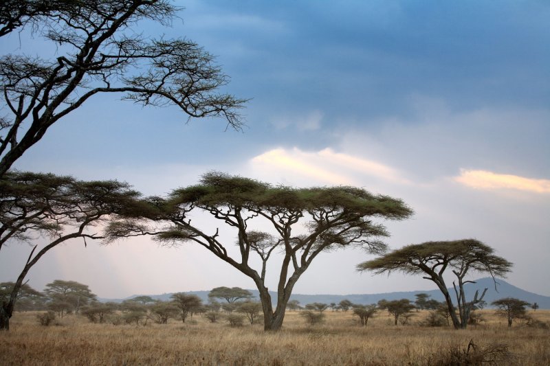 Nacionalni park Serengeti, Tanzanija