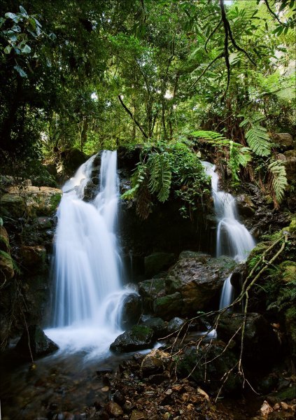Šumski vodopad u Nacionalnom parku Bwindi