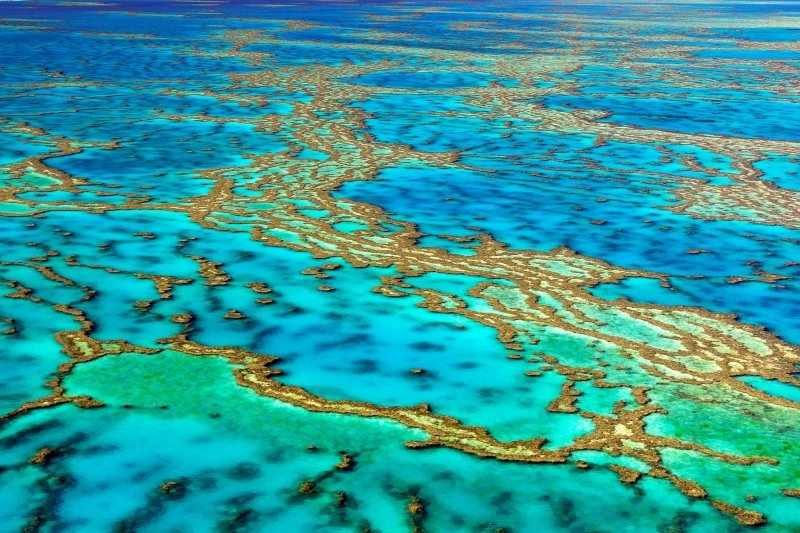 Veliki koraljni greben, Australija