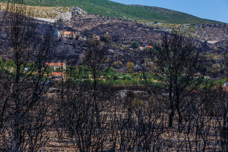 Požarište u Planom