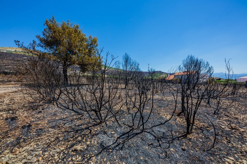 Požarište u Planom