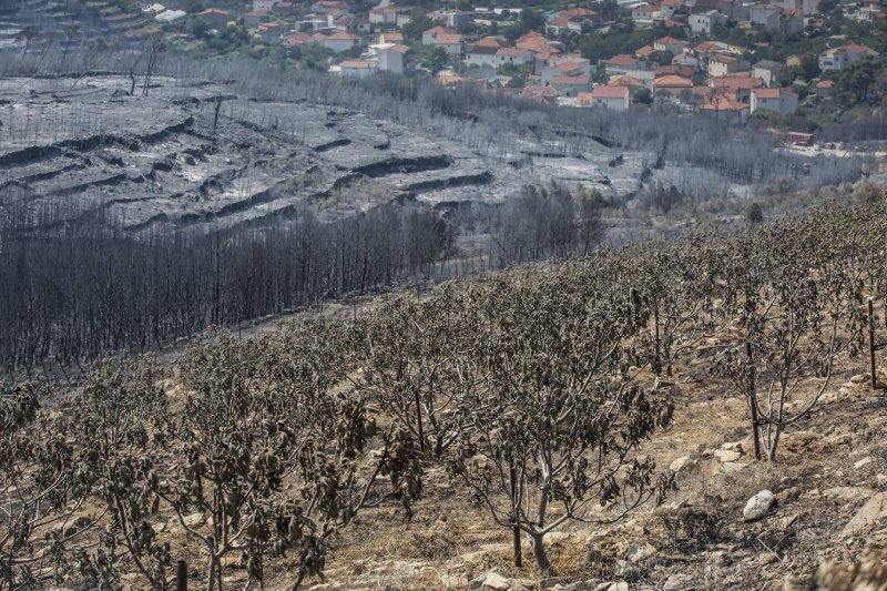 Zgarište u Žrnovnici u srpnju prošle godine