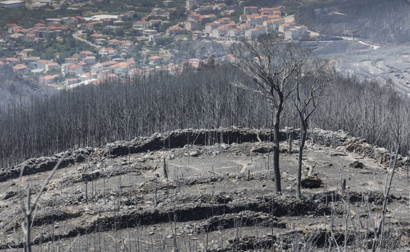 Zgarište u Žrnovnici u srpnju prošle godine