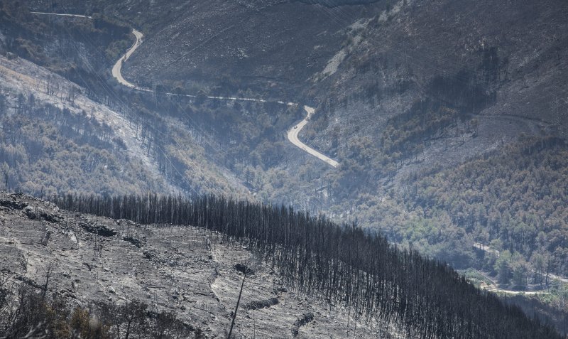 Zgarište u Žrnovnici u srpnju prošle godine