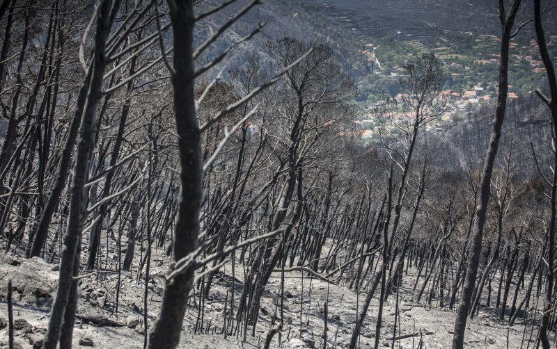 Zgarište u Žrnovnici u srpnju prošle godine