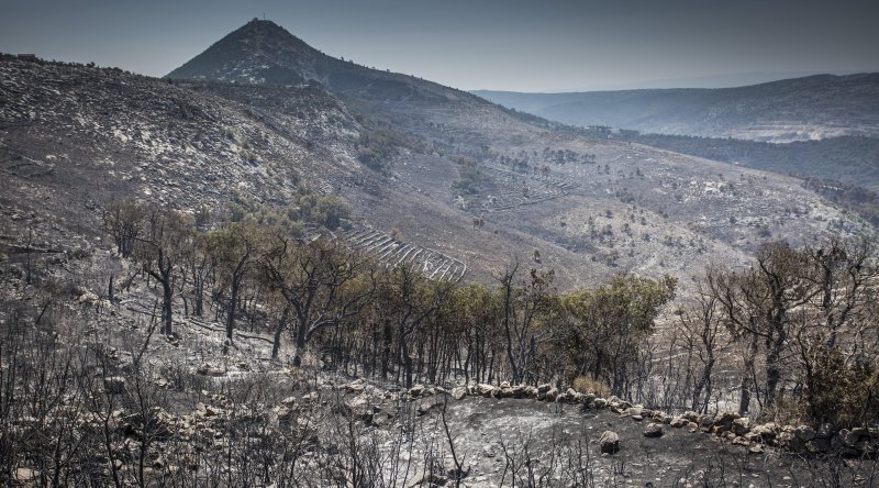 Zgarište u Žrnovnici u srpnju prošle godine