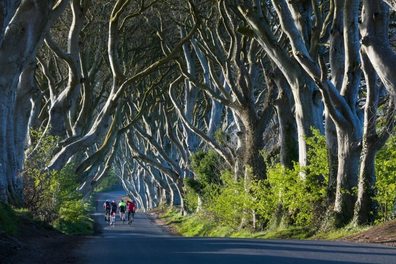 The Dark Hedges, Sjeverna Irska (Cesta koja vodi iz King's Landinga)