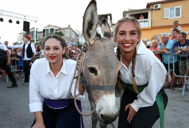 50. jubilarna trka