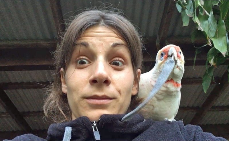 Selfiji Laure Exposito sa životinjama