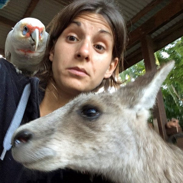 Selfiji Laure Exposito sa životinjama