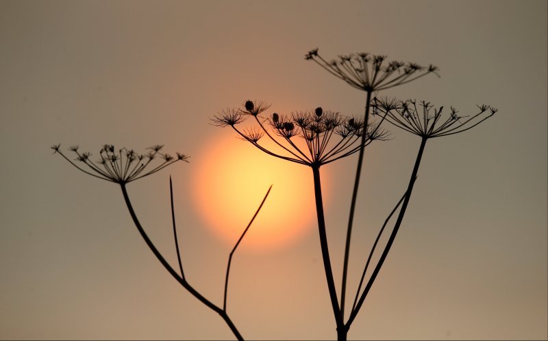 Crveno sunce nad Velikom Britanijom