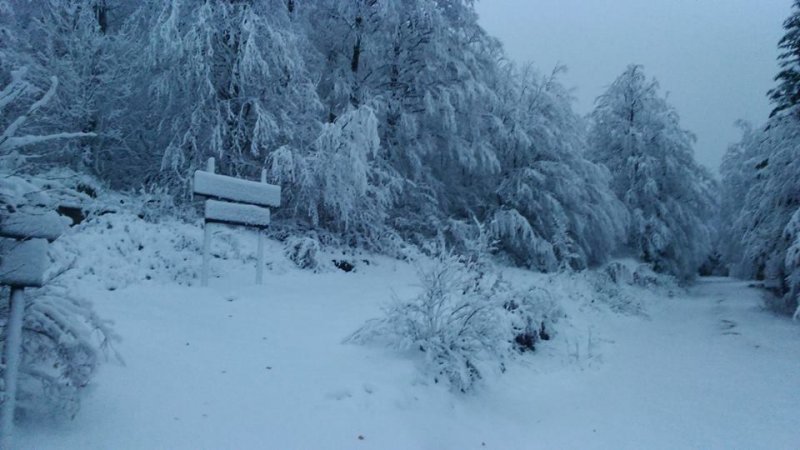 Snijeg na Zavižanu