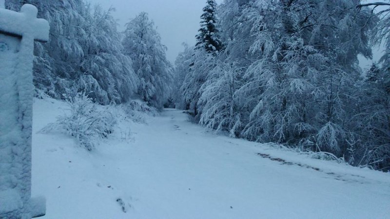 Snijeg na Zavižanu