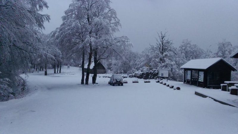 Snijeg na Zavižanu