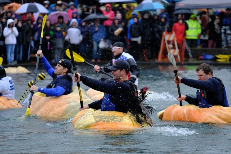 Regata divovskih bundeva