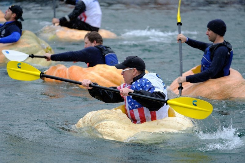 Regata divovskih bundeva