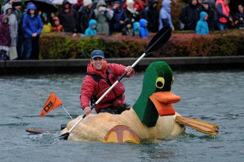 Regata divovskih bundeva