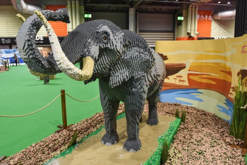 Carstvo Lego divljine