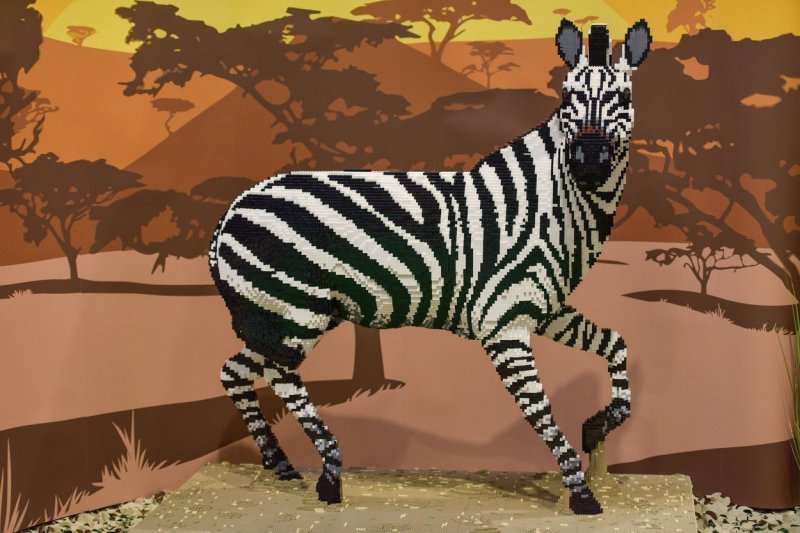 Zebra Zelma