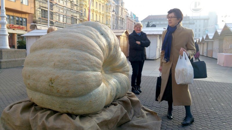 Najteža bundeva u Europi izložena na Trgu bana Josipa Jelačića